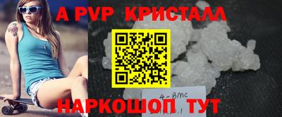 меф Кингисепп