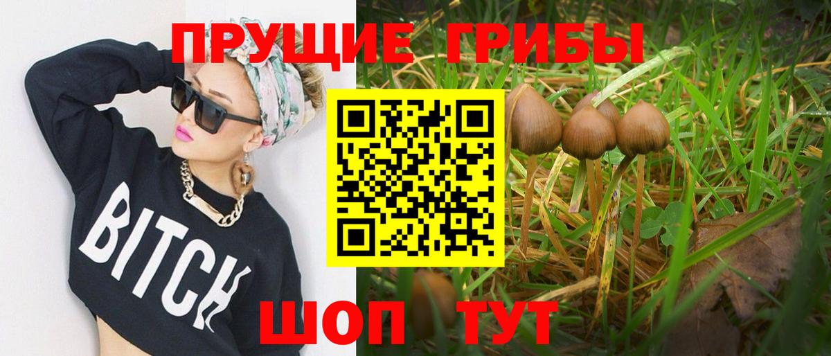 Котельники  Псилоцибиновые грибы Psilocybine cubensis  купить наркотики сайты  Вход с VPN 